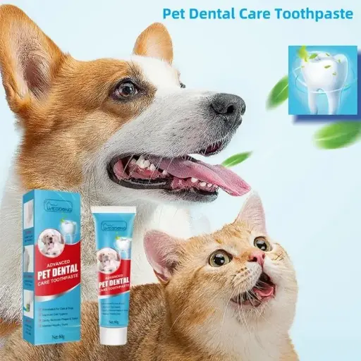 Pet Toothbrush and Paste